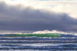 Green wave-0586 Green wave-0586